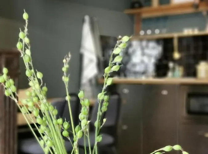 La Du Pecheur * Honfleur